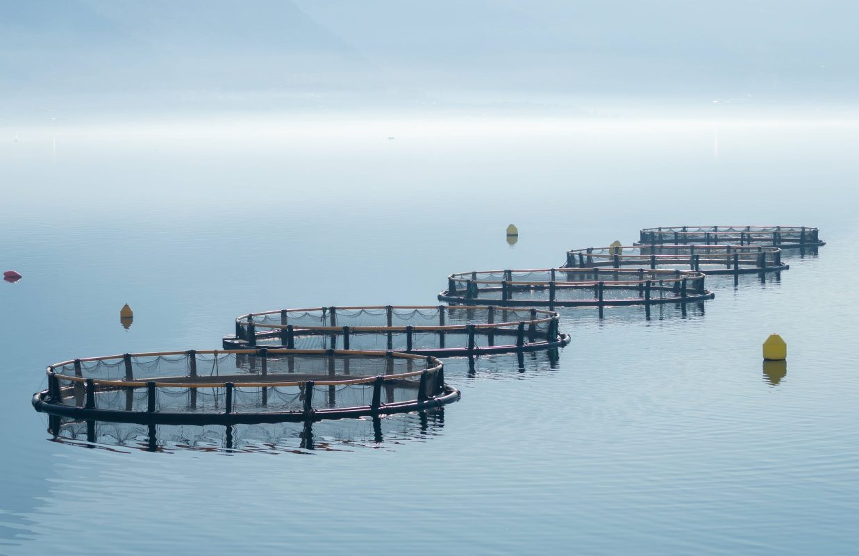 fish-farming-cages